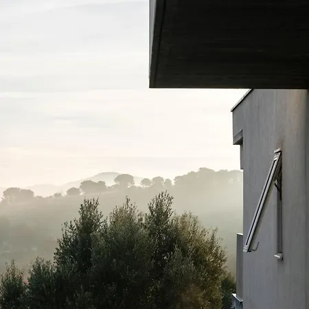 Villa Des Cathares Carcassonne Exterior photo