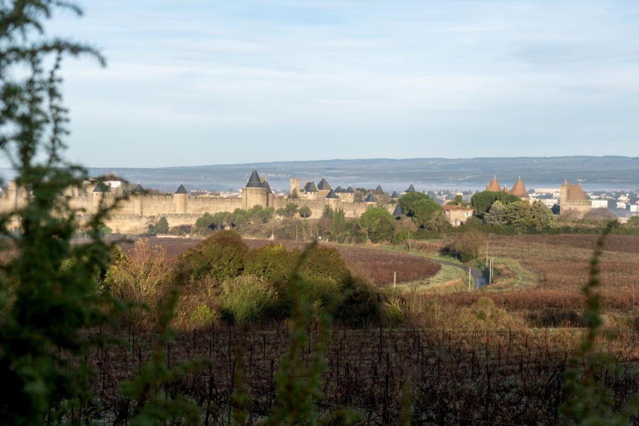 Villa Des Cathares Carcassonne