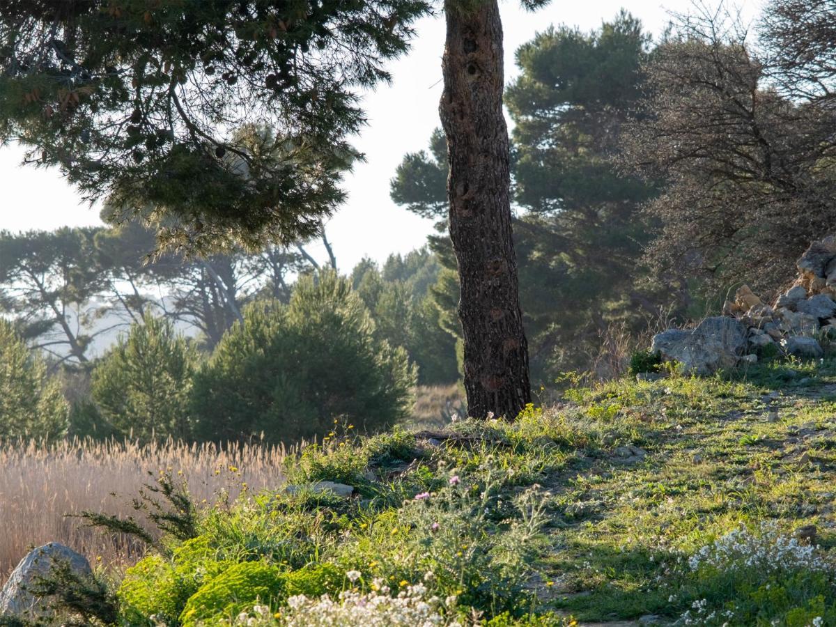 Villa Des Cathares *
